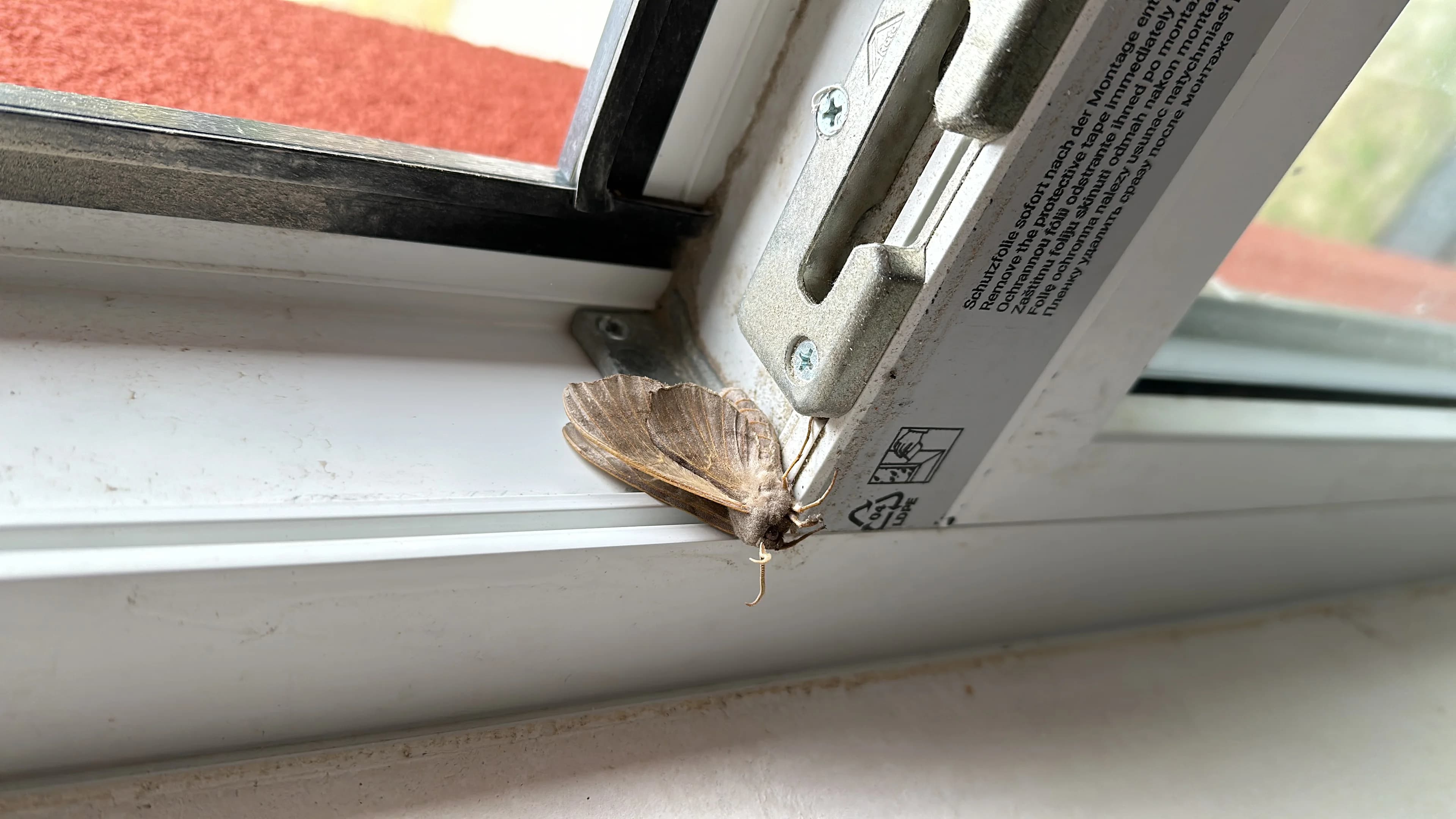 Sprzątanie po budowie osiedla Małomice w Lubinie